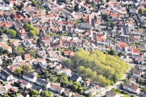 Die Bäume vorne im Bild markieren das Gelände des Alten Friedhofs. Für die einen ist es ein Park, für die anderen eine Aneinande