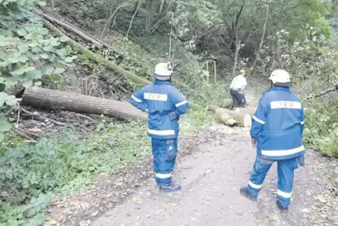 Einsätze gibt es für das THW nach Stürmen, wenn Bäume wegzuräumen sind.