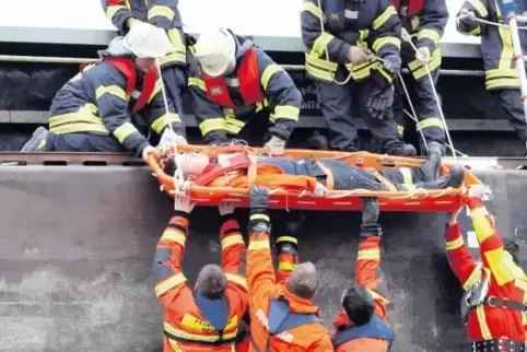 Den Feuerwehren in der Verbandsgemeinde galt der Dank der Ratsmitglieder. Das Bild zeigt eine Übung auf dem Otterstadter Altrhei