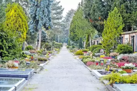 Klassisch angeordnete Grabstätten prägen das aktuelle Bild des Friedhofs Oggersheim. Baumbestattungen gibt es noch nicht.