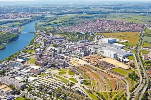 Auf etwa einem Quadratkilometer Werksfläche betreibt der schwedische Konzern Essity nicht nur fünf Papiermaschinen, sondern auch