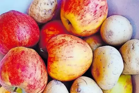 Ein kulinarisches Traumpaar: Äpfel und Kartoffeln.