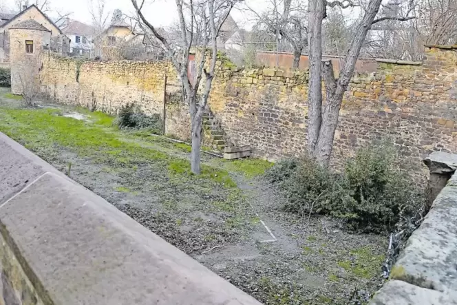 Ob die Mauer an der Nordseite des Schlossgrabens sicher steht, soll ein Gutachten klären.