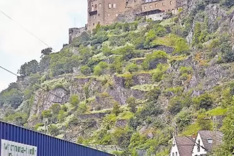 G&uuml;ter auf die Schiene &ndash; im Mittelrheintal scheint ein Mehr an G&uuml;terz&uuml;gen kaum noch m&ouml;glich.