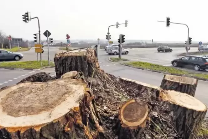 Die Ampelkreuzung auf der Landesstraße nach Neustadt wird durch einen großen Kreisel ersetzt. Baubeginn ist noch dieses Jahr.