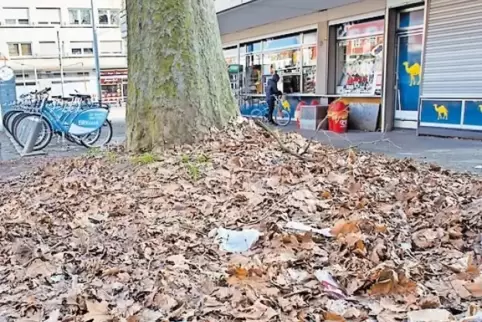 Aufgetürmtes Herbstlaub, über das sich die RHEINPFALZ-Leserin ärgerte.
