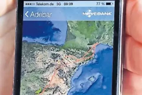 Die Störche-App zeigt den Flug von Adebar.
