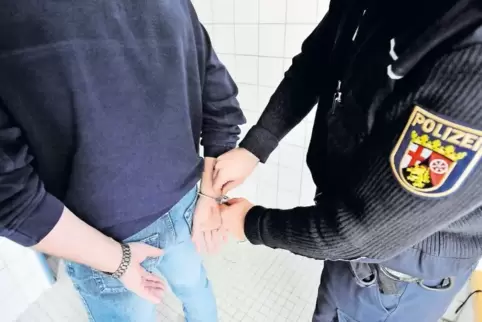 Mit 6000 Straftaten hatten es die Inspektionsmitarbeiter 2016 zu tun; 3555 wurden aufgeklärt.