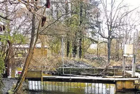 Das Gatter wurde gereinigt. Dabei wurde die Leiche entdeckt.
