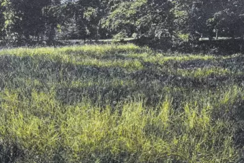 Perfekte Illusion aus Myriaden von Farbstrichelchen und -pünktchen: Jochen Heins Gemälde „Park II“, 2015.