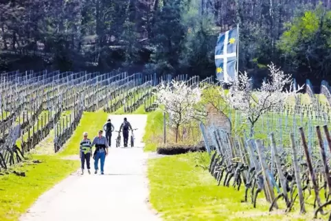 Beim Mandelspaziergang erwarten die Besucher nicht nur Mandelblüten, sondern auch Kulinarisches rund um die Kerne.