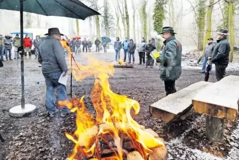 Sechs bis acht Meter langes Polderholz hat die Gemeinde am Samstag im Harthäuser Wald angeboten. Zerstückeln und abholen müssen 