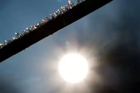 Der Traktorfahrer wurde von der Sonne geblendet und hat das Auto auf der L 525 übersehen. Foto: 