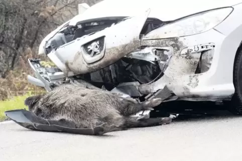 Wildtiere waren 2017 bei mehr als jedem dritten Unfall in der Dahner Region beteiligt.