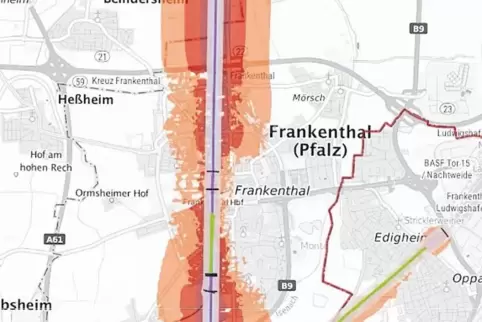 Die Übersicht des Eisenbahnbundesamts für Frankenthal: Die orange markierten Zonen stehen für eine ermittelte Lärmbelastung von 