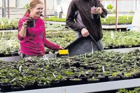 Jasmin Reck und Robin Stephany hegen in der Ausbildungsgärtnerei Frühjahrspflanzen für die kommende Saison.