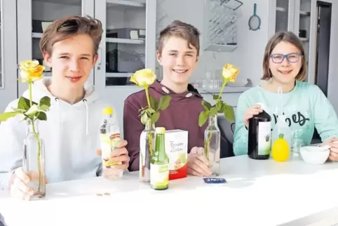 Tim Wiedemann (links) und Felix Beyer haben erforscht, wie Rosen langsamer welken. Mitschülerin Svenja Preßler hat ein Mundwasse