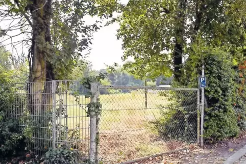 3400 Quadratmeter Platz haben die Planer auf dem städtischen Grundstück an der Weidstraße für den Kita-Neubau zur Verfügung.