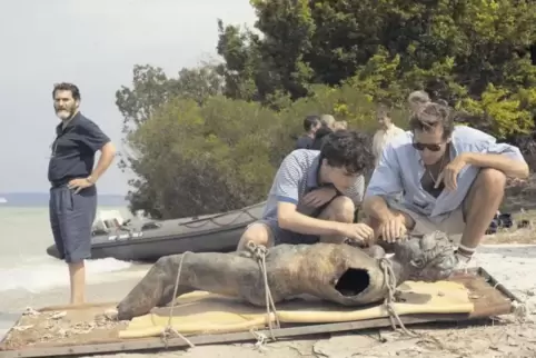 Mr. Perlman (Michael Stuhlbarg links), Elio (Timothee Chalamet, Mitte) und Oliver (Armie Hammer, rechts) untersuchen einen archä