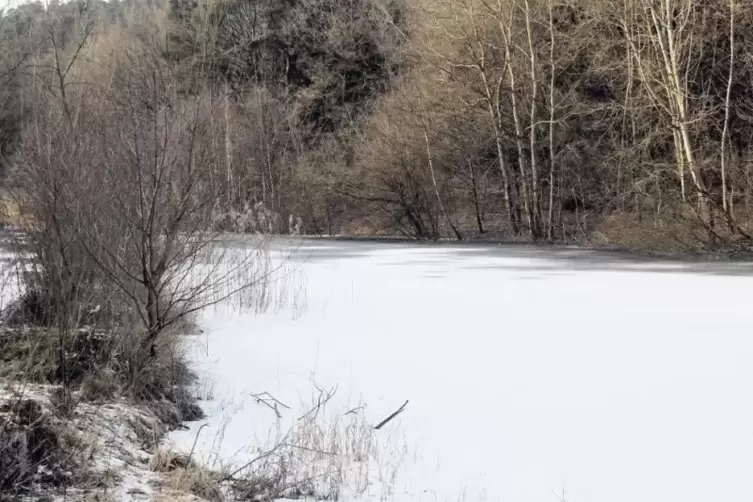 Winter, wie sch&ouml;n: Weiher in Bechhofen bei Zweibr&uuml;cken.
