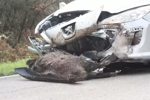 Wildtiere auf der Straße werden auch im Gebiet der Polizeiinspektion Landstuhl immer mehr zum Problem. Archivfoto: Lenz Foto: 