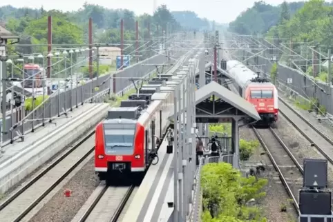 Westlich von Limburgerhof verlaufen vier Gleise. Die beiden Gleise der Schifferstadter Umgehungsbahn (rechts) werden vom 25. Jun
