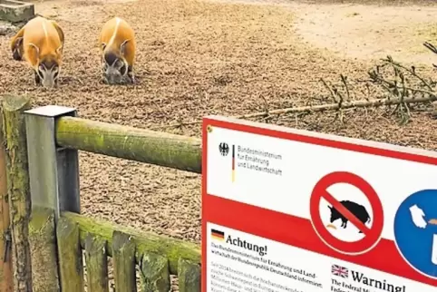 Neue Schilder waren vor dem ohnehin verboteten Füttern der Schweine.