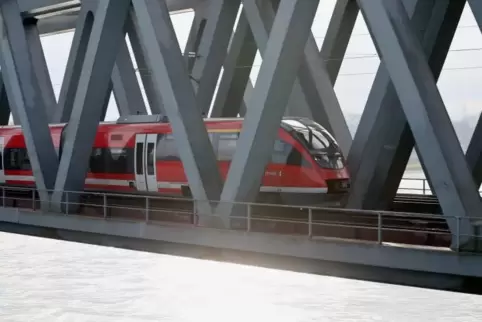 Während der Sanierung der Wörther Rheinbrücke soll es zusätzliche Zugangebote geben. Foto: bji 