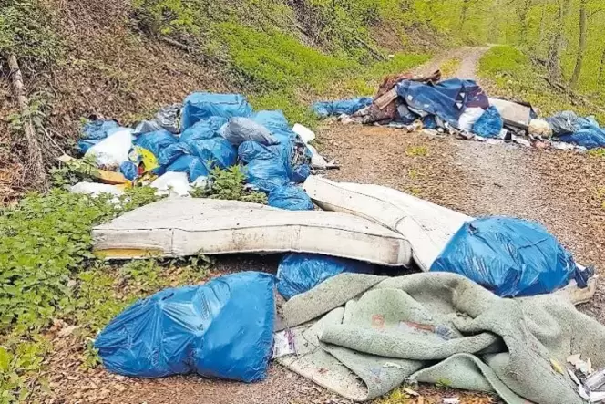 Restabfall, vergangenes Jahr abgeladen bei Ulmet. Restabfall, vergangenes Jahr abgeladen bei Ulmet.