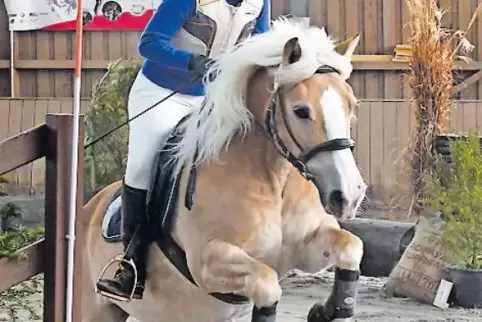 Drüber: Annabelle Stedler vom RC Speyer mit Ammy.