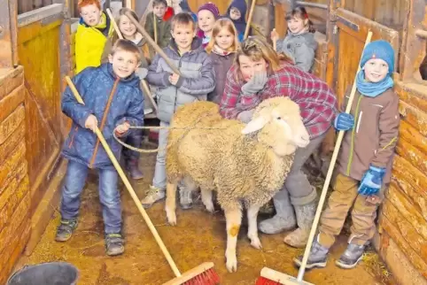 Gnadenhofbetreiberin Carry Lerch mit Schaf und Grundschülern. Sie freut sich, dass ihr jemand beim Stallausmisten hilft.