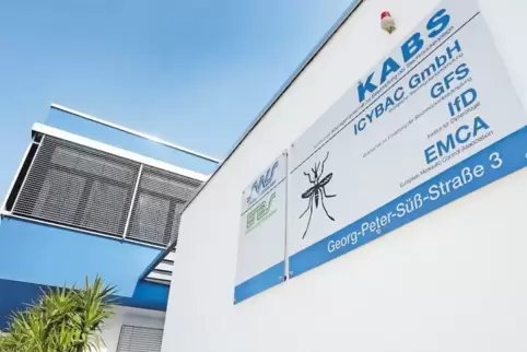 Zuhause der Schnakenjäger und verwandter Gesellschaften: Kabs-Bau an der Georg-Peter-Süß-Straße.