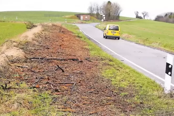 Dieses Bild bot sich im Januar an der Kreisstraße 75 zwischen Battweiler und Niederhausen. Demnächst kommen dort die Naturschutz Dieses Bild bot sich im Januar an der Kreisstraße 75 zwischen Battweiler und Niederhausen. Demnächst kommen dort die Naturschutz