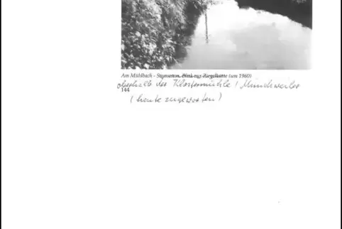 Der Mühlbach oberhalb der Klostermühle Münchweiler (heute zugeschüttet) um das Jahr 1960.