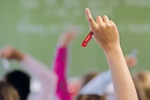 Seit dem Schuljahr 2000/2001 gibt es im Rhein-Pfalz-Kreis Schulsozialarbeit. Das Jugendamt arbeitet nach eigener Aussage eng mit