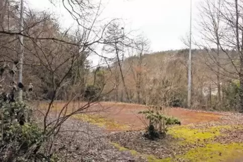 Der ehemalige Tennisplatz soll von Unkraut und Unrat befreit werden, um Platz für ein Freilichtkino zu schaffen.