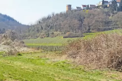 Kurz vor Kleinkarlbach wird die geplante Radroute vom Wirtschaftsweg auf die frühere Bahntrasse geführt.