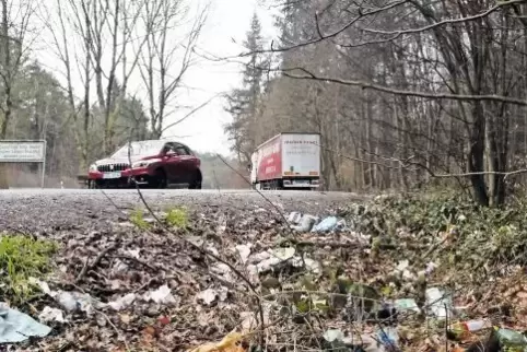 Dreck, wohin das Auge schaut: Parkplatz an der Bienwald-B-9.
