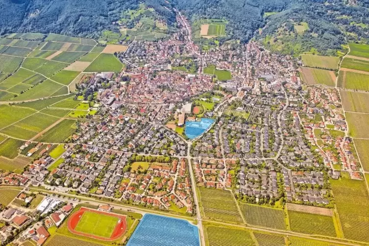 Wachenheim und die Standortfrage: Bürgermeister Torsten Bechtel bevorzugt den Bischofsgarten (blaumarkiert vorn), die Opposition