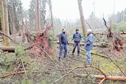 Entwurzelte Stämme, abgebrochene Äste, umgeknickte Bäume: Der Wald bei Schwanheim sieht wüst aus. Andreas Eichenlaub von der For