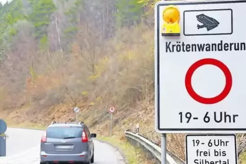 Die Kreisverwaltung sieht in der abendlichen Sperrung der Kreisstraße 16 zwischen Lindenberg und Wachenheim eine ausreichende Sc