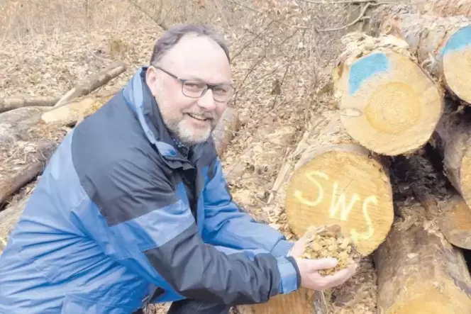 Hält frische Hackschnitzel in seinen Händen: Markus Sohn, bei den Stadtwerken Speyer zuständig für Nahwärme-Versorgung. Hält frische Hackschnitzel in seinen Händen: Markus Sohn, bei den Stadtwerken Speyer zuständig für Nahwärme-Versorgung.