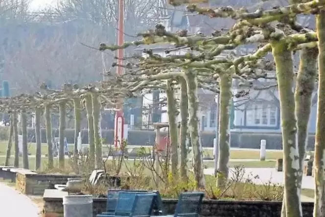 Neue Gedenkorte: Kohl-Grab im Adenauerpark (oben) und die Rheinpromenade (unten).