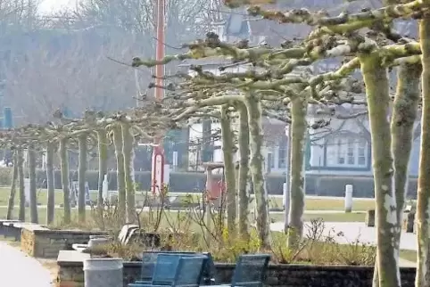 Neue Gedenkorte: Kohl-Grab im Adenauerpark (oben) und die Rheinpromenade (unten).