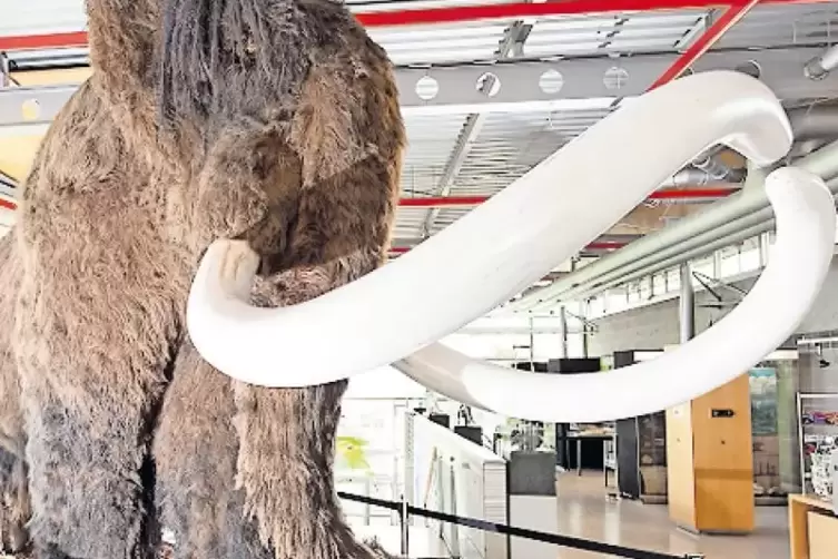Das Mammut-Modell im Foyer ist ein beliebtes Fotomotiv.
