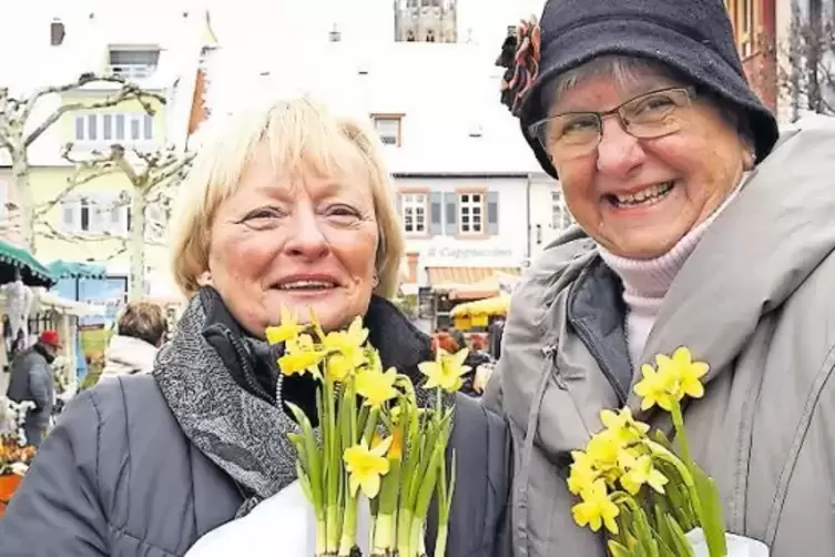Der K&auml;lte getrotzt: eingetopfte Osterglocken ...