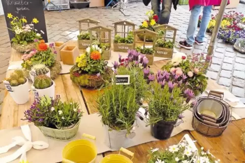 Große Auswahl: Ob Kräuter oder Blumen – der Deutsch-französische Bauernmarkt bietet für jeden Geschmack etwas.