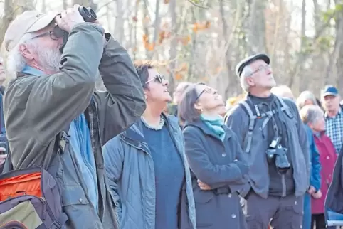 Georg Waßmuth vom Nabu (links) erkennt die Vögel am Gesang, das Fernglas braucht er nur, um sie in den Baumkronen zu entdecken.