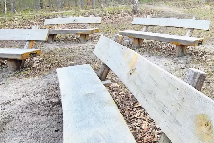 Langlebig: Sitzb&auml;nke aus Eichenholz im Friedwald.