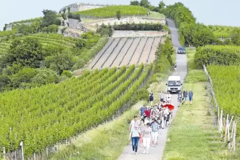 Erinnerungen an den Frühling: Unter anderem gehören auch Wanderungen zum Programm der Initiative „Aktiv in Schauernheim“.